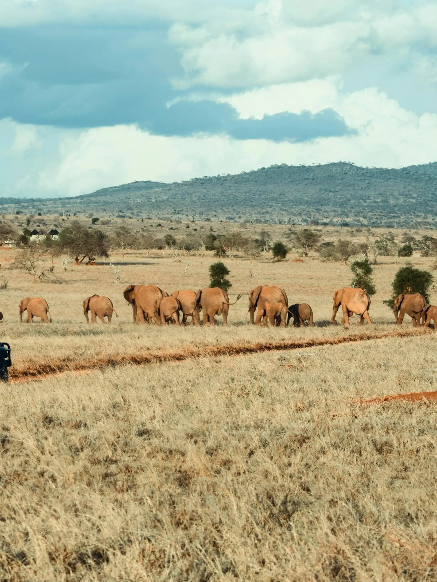 The Okavango
