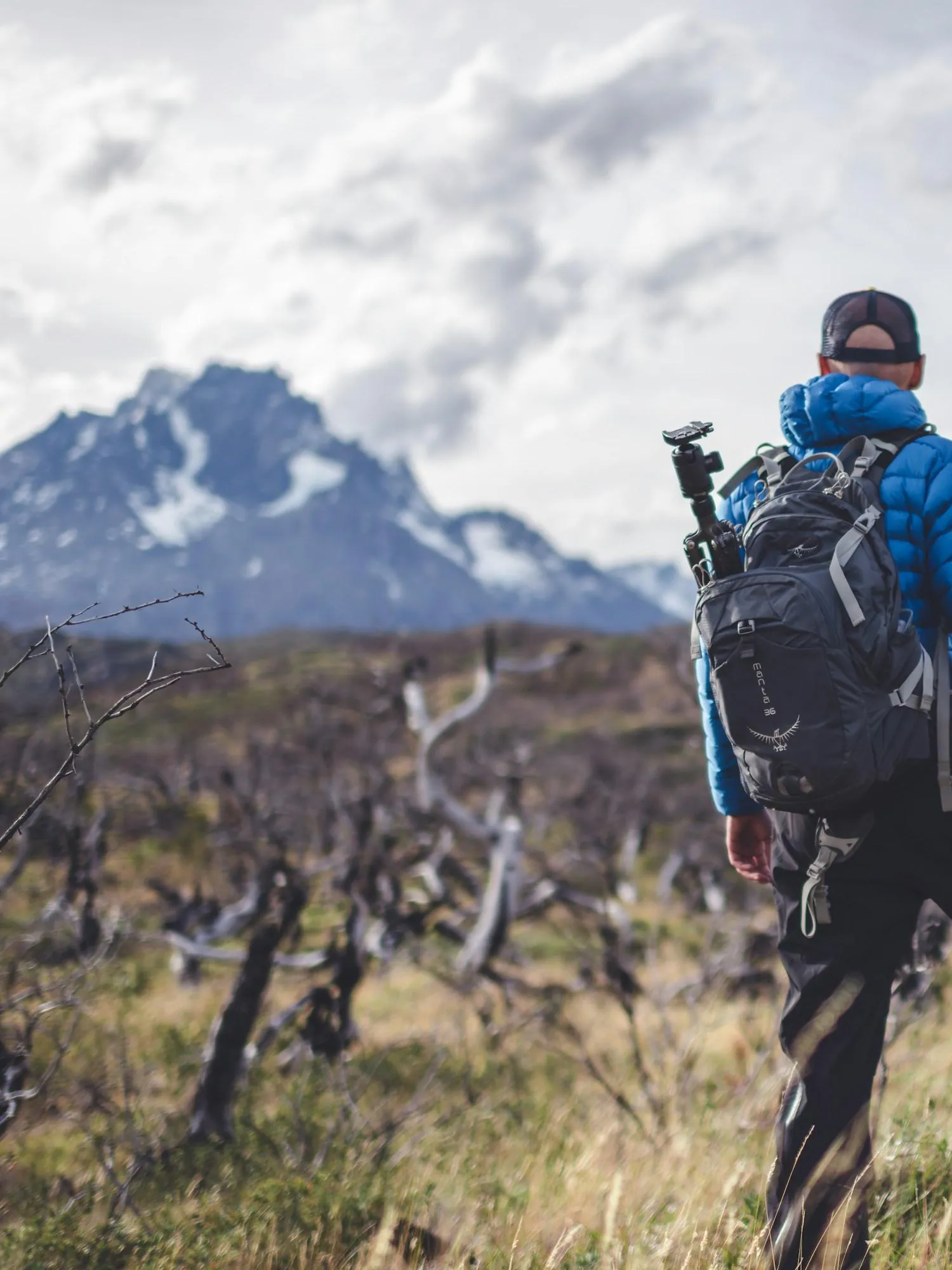 Patagonia